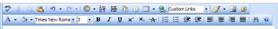 Icons for the Newsletter Editor window